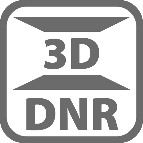 3D Digital Noise Reduction