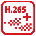 H265+ Decoding