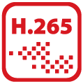 H265+ Decoding
