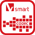 Smart Codec